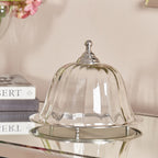 طبق تقديم مغطى من مجموعة ستارلايت، مقاس 24 سم